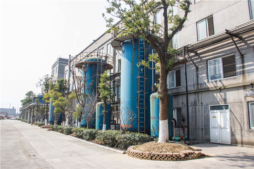 AG Club | The Originator of Live Casino