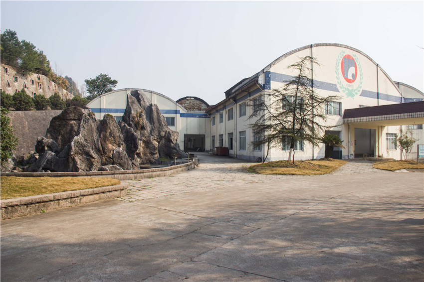 AG Club | The Originator of Live Casino