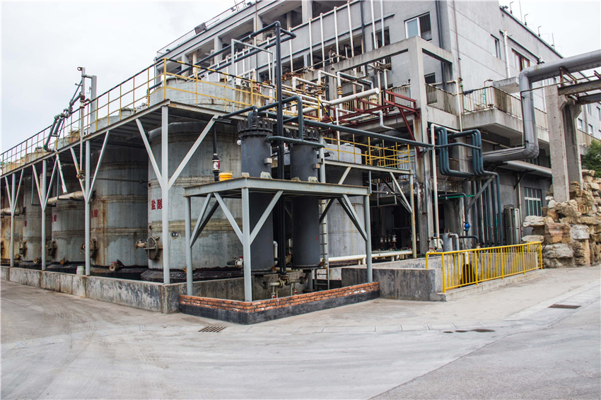 AG Club | The Originator of Live Casino