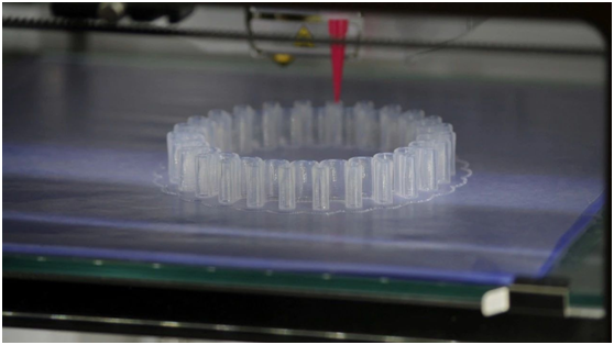 AG Club | The Originator of Live Casino