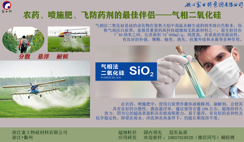 AG Club | The Originator of Live Casino